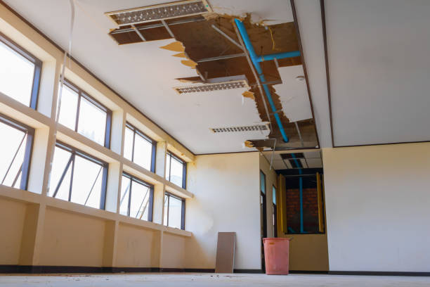 Best Water damage restoration near me  in Le Mars, IA
