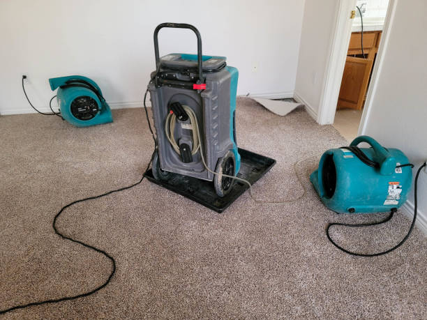 Best Local water damage restoration  in Le Mars, IA