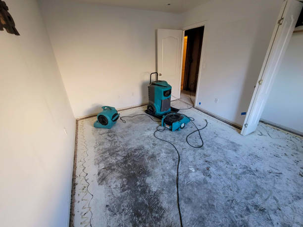 Best Water damage restoration near me  in Le Mars, IA