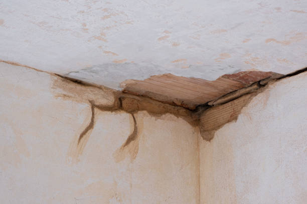Best Water damage cleanup near me  in Le Mars, IA