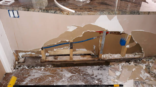 Best Water damage cleanup near me  in Le Mars, IA