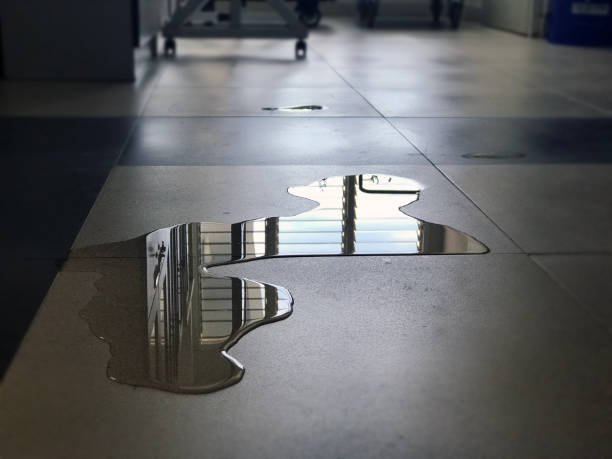 Best Water damage contractors near me  in Le Mars, IA