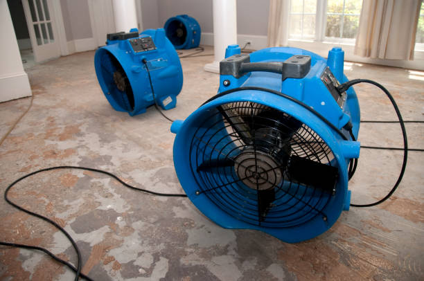 Best Carpet water damage restoration  in Le Mars, IA