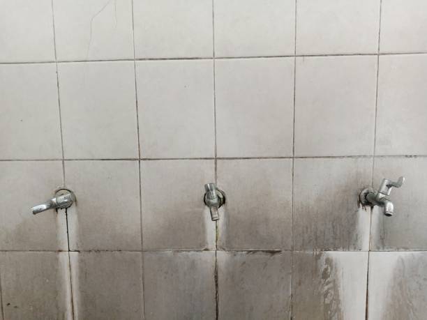 Best 24-hour water damage restoration  in Le Mars, IA