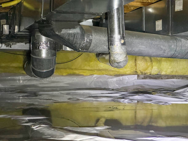 Best Water damage contractors near me  in Le Mars, IA
