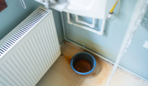Best Residential water damage restoration  in Le Mars, IA