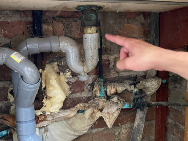 Best Fire Damage Restoration  in Le Mars, IA