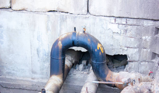 Best Mold removal after water damage  in Le Mars, IA