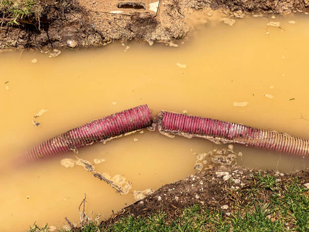 Best Water damage restoration process  in Le Mars, IA